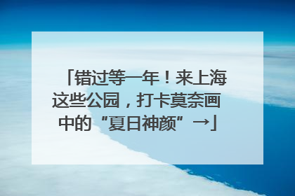 错过等一年！来上海这些公园，打卡莫奈画中的“夏日神颜”→